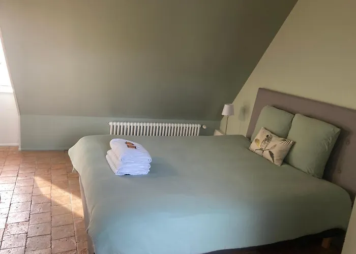 Les Du Roi Penzion *